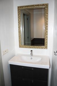 a bathroom with a sink and a mirror at Gastenverblijf Lheederhof in Dwingeloo +32 photos