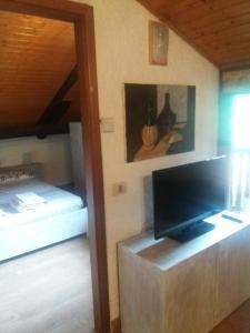a living room with a television and a bed at Maso del Capitel in Commezzadura