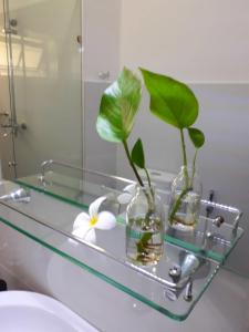 a bathroom with two glass vases and a mirror at "27" Spathodea- Oasis in the City in Colombo