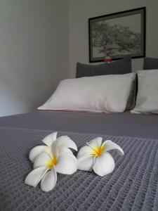 two white flowers on a bed in a bedroom at "27" Spathodea- Oasis in the City in Colombo