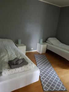 1 Schlafzimmer mit 2 Betten und 2 Teppichen in der Unterkunft Solbakken 27 Apartment in Lyngseidet