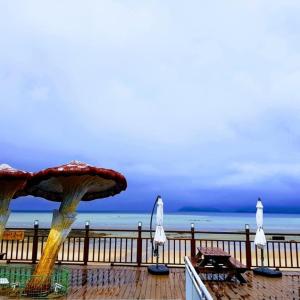 海景或在度假屋看到的海景
