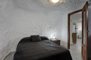 1 dormitorio con 1 cama en una pared blanca en Cueva Solano, en Gorafe