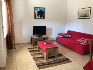 TV a/nebo společenská místnost v ubytování Apartment Villa Nikola