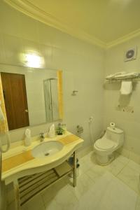 a bathroom with a sink and a toilet at Oscar Hotel Petra in Wadi Musa