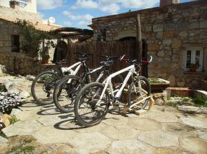 フゼタにあるMonte Vianaの自転車の一団