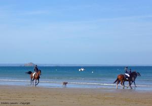 プレヌフ・ヴァル・アンドレにあるCAP HOUSES Abri Côtierのビーチでの馬乗り(犬1匹)