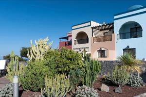 una casa con un montón de cactus delante de ella en Luz Del Mar, en Los Silos