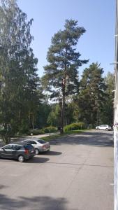 two cars parked in a parking lot with trees at Savonlinna Holidays in Savonlinna