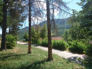 a path through a forest with mountains in the background at Pansion Radgost, Rtanj in Rtanj