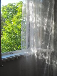 Fotografia z galérie ubytovania adrian v destinácii Grandići