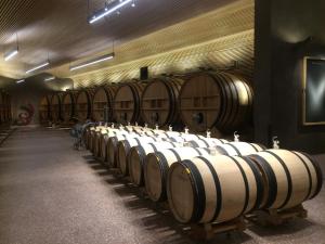 a row of wine barrels in a wine cellar at Les Suites Champenoises in Reims
