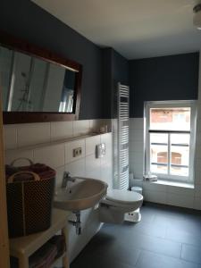 ein Bad mit einem Waschbecken, einem WC und einem Fenster in der Unterkunft Ferienhof"WaldEsel Rippersroda" in Rippersroda