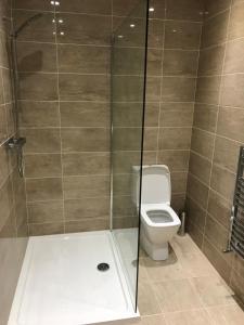 a bathroom with a shower and a toilet at Two Little Ducks Guesthouse in Ellesmere Port