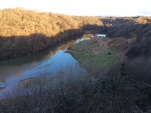 an aerial view of a river in a forest at Ortari@70 in Bishopston