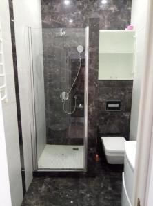フォンタンカにあるApartments in Avtorskiyのバスルーム(シャワー、トイレ、洗面台付)