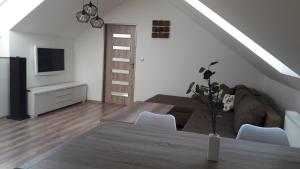 Sjónvarps- og/eða afþreyingartæki á Apartmán ZA-KA 1 ubytování Litovel
