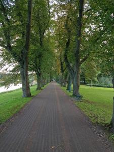 a tree lined road in a park with a bench at Central Location Preston 1 in Preston