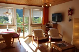 TV a/nebo společenská místnost v ubytování Steiert Panorama Apartments Todtnau