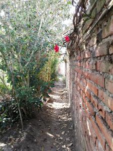Jardín al aire libre en Chapelet Hostal