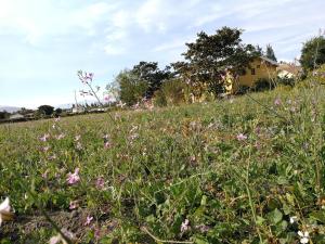 Jardín al aire libre en Chapelet Hostal