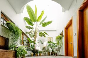 un couloir avec des plantes et des chaises dans un bâtiment dans l'établissement Barracart Apartments, à Valence