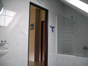 Koupelna v ubytování Holiday Villa Zibridice