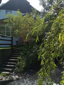 un escalier en face d'une maison dans l'établissement Vila Doina Branului, à Bran