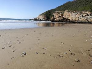 una playa con rocas y huellas en la arena en PrettinPlett, en Plettenberg Bay