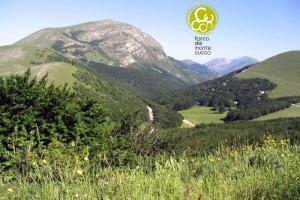 Príroda v okolí hostela