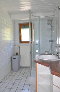 Kúpeľňa v ubytovaní Ferienhaus Steyrdurchbruch