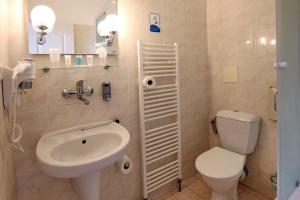 a bathroom with a white toilet and a sink at Hotel Bohemia in Františkovy Lázně