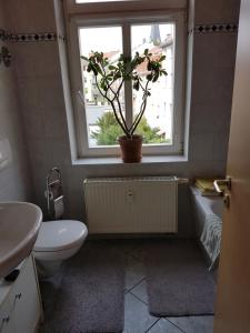 ein Bad mit WC und ein Fenster mit Topfpflanze in der Unterkunft Kleine gemütliche Ferienwohnung in Dresden + 5 Fotos