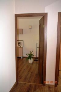 a hallway with a mirror and a potted plant at Apartamentai Dainų in Šiauliai +12 photos