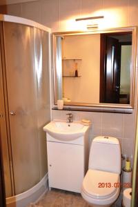 a bathroom with a toilet and a sink and a shower at Apartamentai Dainų in Šiauliai