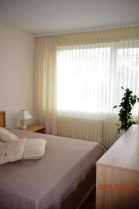 a bedroom with a bed and a large window at Apartamentai Dainų in Šiauliai