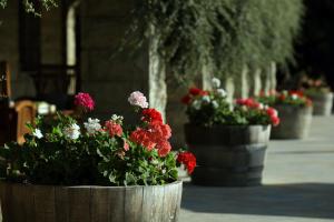 Gallery image of Terre Brune Hotel in Kfardebian