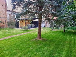 a tree in the yard of a house at Amaroq Explorers BaseCamp in Tremp