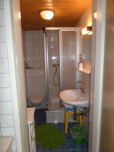 a bathroom with a sink and a shower and a toilet at Kalcherhof in Ramsau am Dachstein