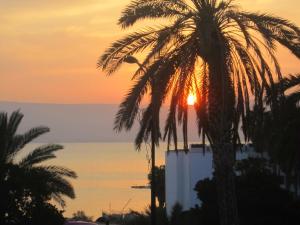 a sunset over the ocean with a palm tree at Atara Hotel in Tiberias