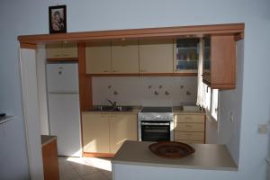 Kuchyň nebo kuchyňský kout v ubytování Ammos Holiday House