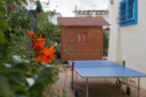Stolný tenis v ubytovaní Villa La Caleta alebo v jeho okolí