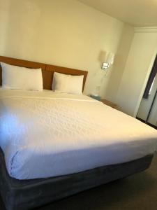 Postel nebo postele na pokoji v ubytování Monticello Motel