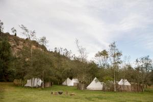 Příroda nedaleko luxury tent