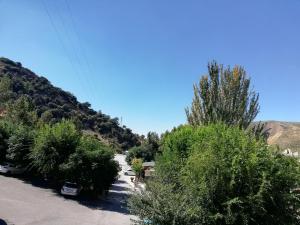 een weg met bomen op een berg bij Labella María in Pinos Genil