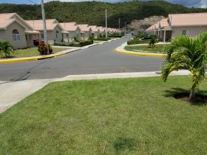 a street in a residential neighborhood with a palm tree at Caymanas estate beautiful two bedroom suites in Goshen Pen