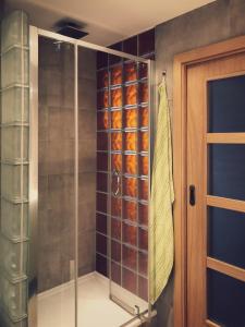 eine ebenerdige Dusche mit einer Glastür im Bad in der Unterkunft Apartmán Na sluneční stráni in Trutnov