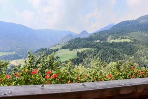 a view of a valley with flowers and mountains at Gosthof Latzfons in Lazfons