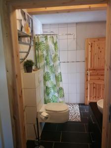 a bathroom with a toilet and a shower curtain at Wohnung im Schwedenhaus in Bad Laasphe