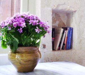 Biblioteca de l'hostal o pensió